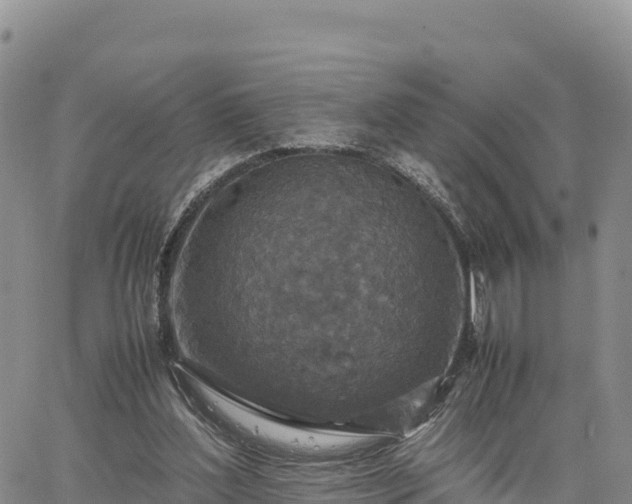 X0000064770204200602171833