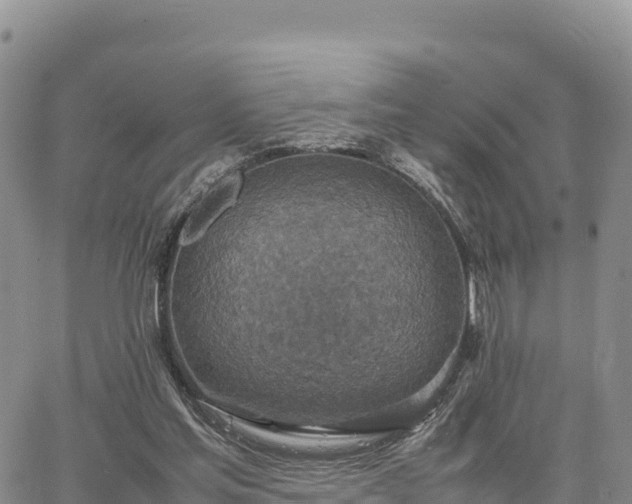 X0000064770205200602171833