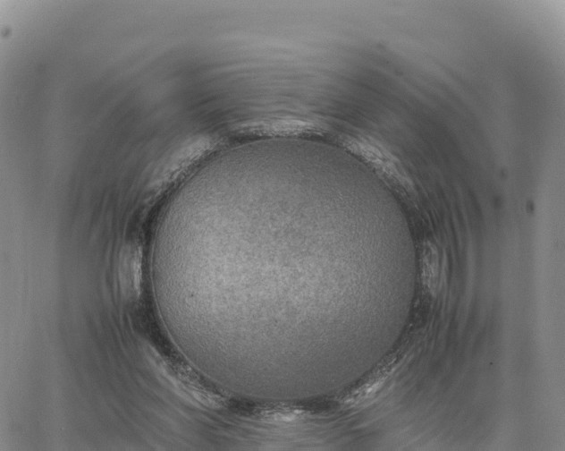 X0000064770206200602171833