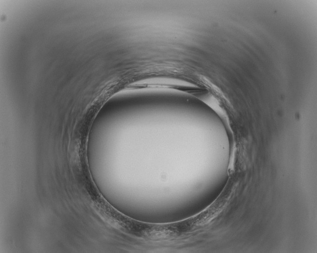 X0000064770209200602171833