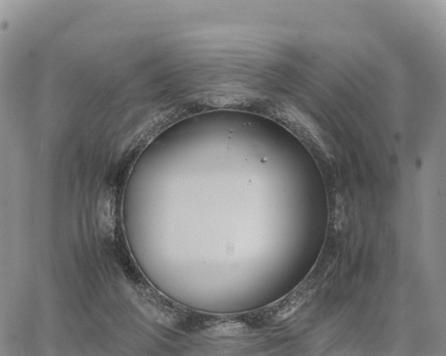 X0000064770210200602171833