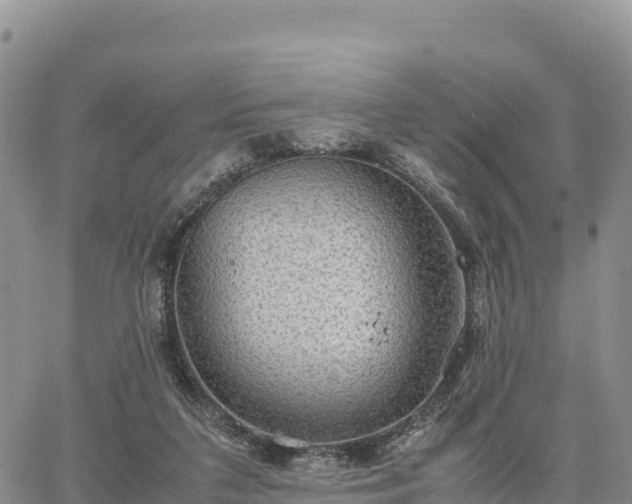 X0000064770211200602171833