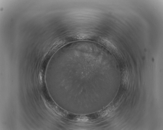 X0000064770214200602171833