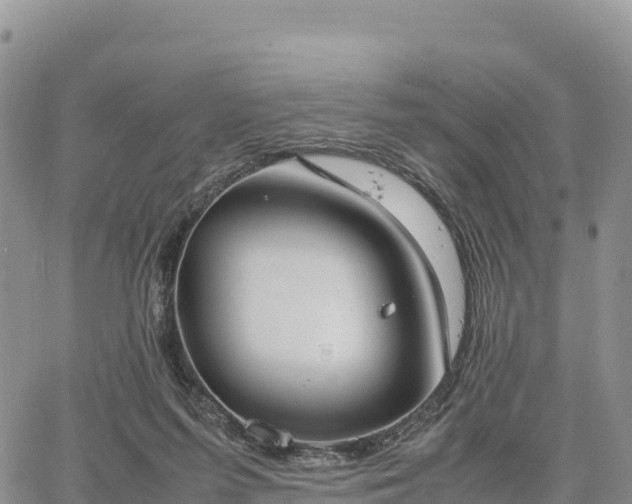 X0000064770215200602171833