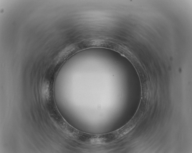 X0000064770216200602171833