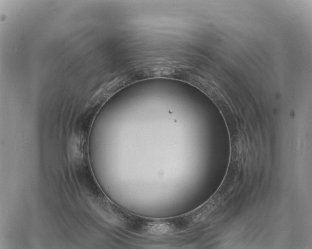 X0000064770218200602171833