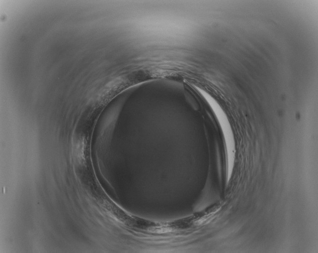 X0000064770219200602171833