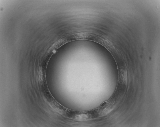 X0000064770220200602171833