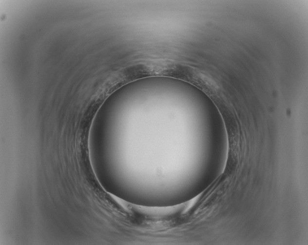 X0000064770221200602171833