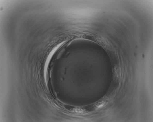 X0000064770223200602171833