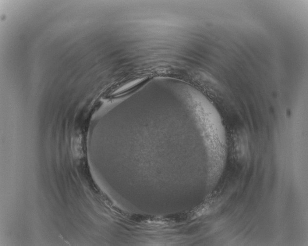 X0000064770224200602171833