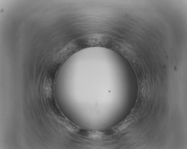 X0000064770226200602171833