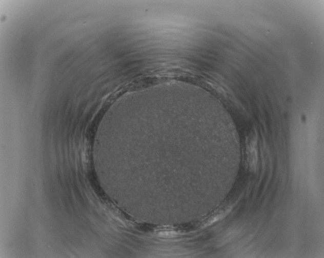 X0000064770228200602171833