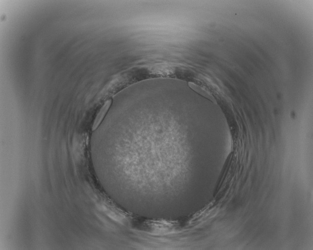 X0000064770229200602171833