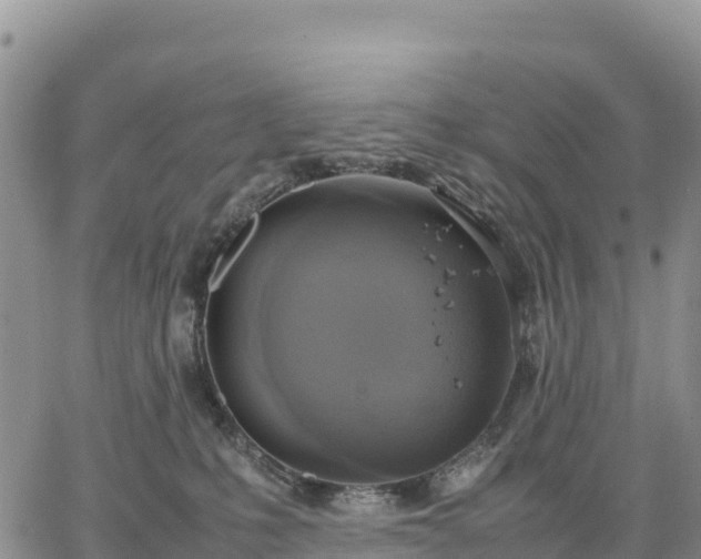 X0000064770231200602171833