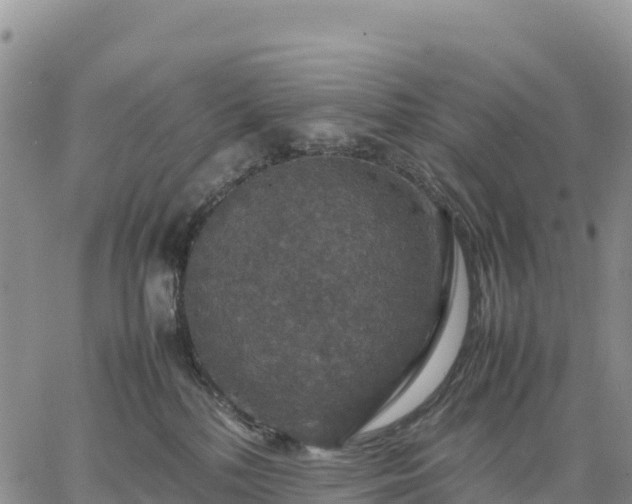 X0000064770232200602171833