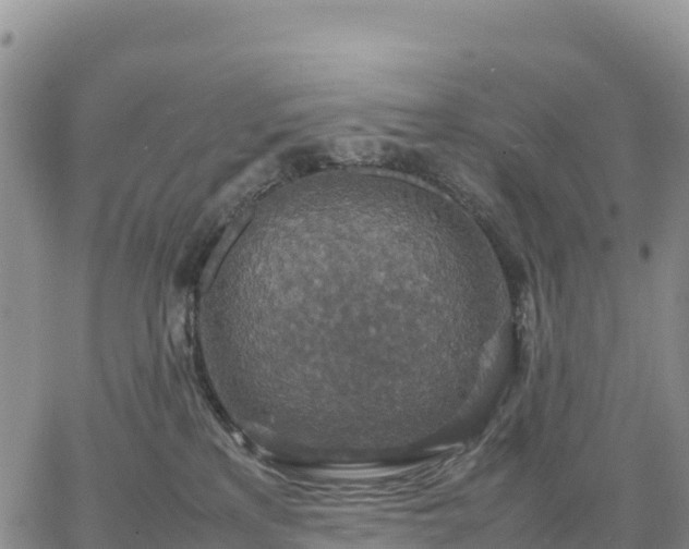 X0000064770233200602171832