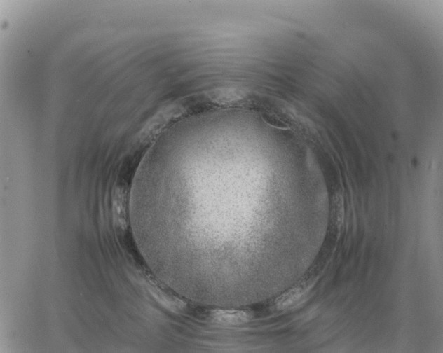 X0000064770234200602171832