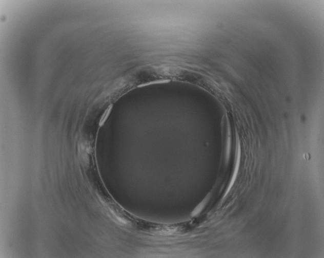 X0000064770235200602171832