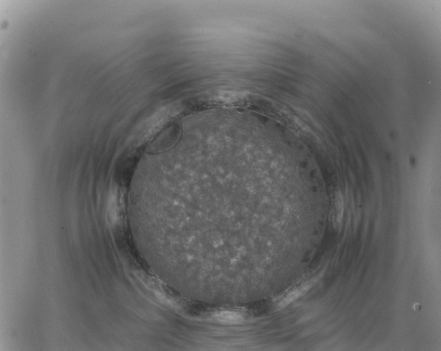 X0000064770236200602171832