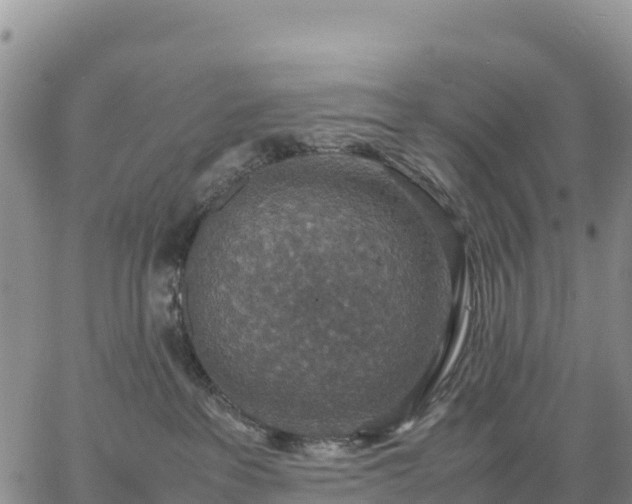 X0000064770237200602171832