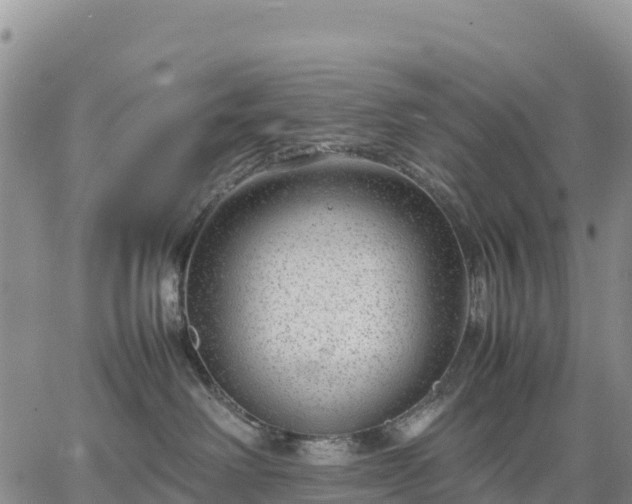 X0000064770238200602171832