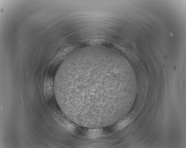 X0000064770240200602171832