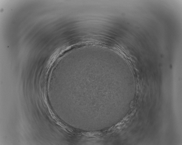 X0000064770241200602171832