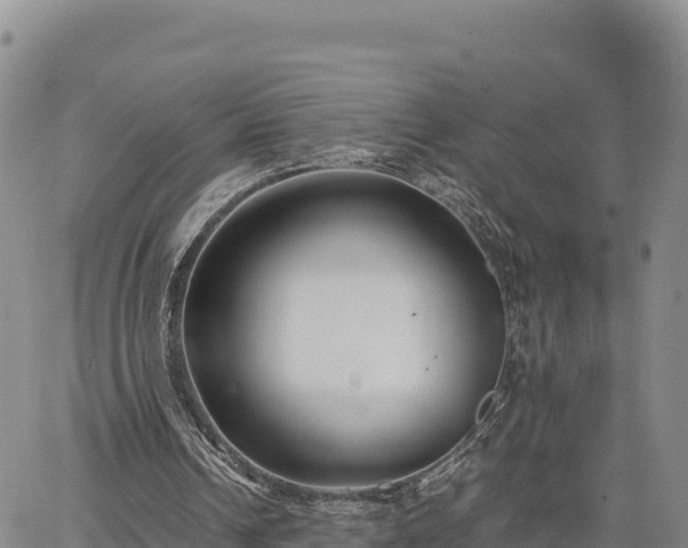 X0000064770242200602171832