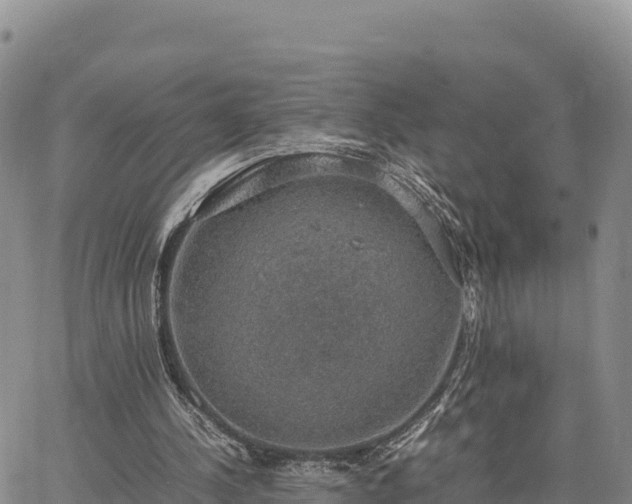 X0000064770244200602171832