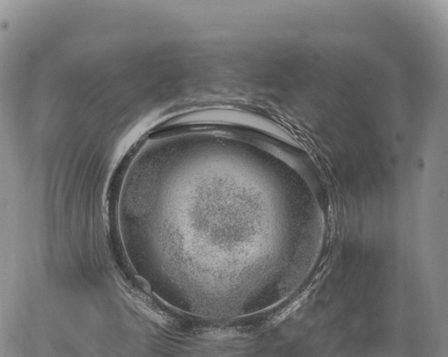 X0000064770246200602171832