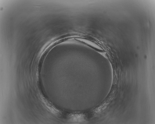 X0000064770247200602171832