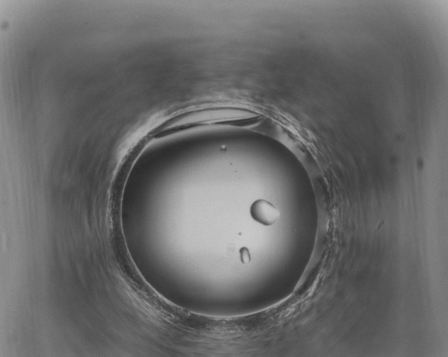 X0000064770248200602171832