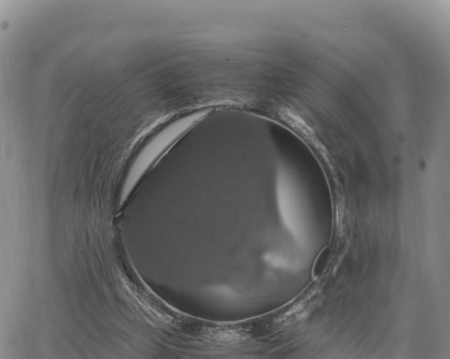 X0000064770249200602171832