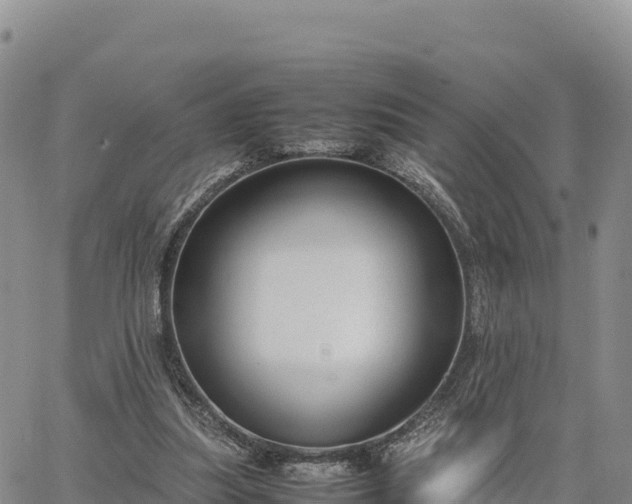 X0000064770251200602171832