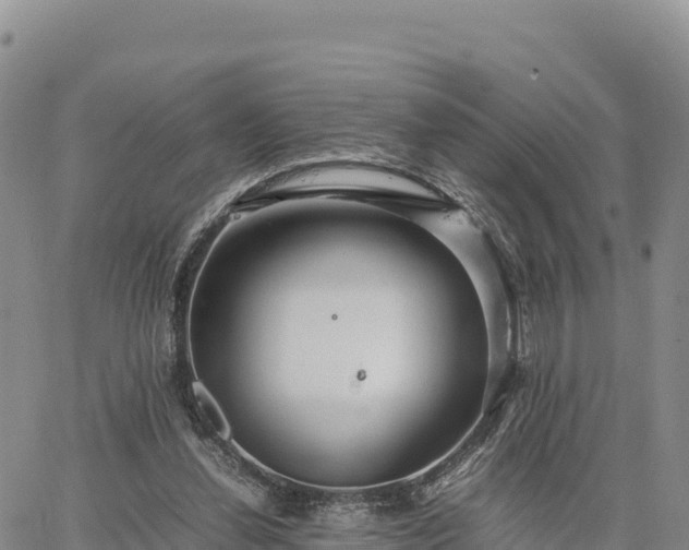 X0000064770252200602171832