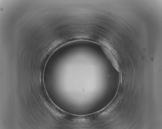 X0000064770253200602171832