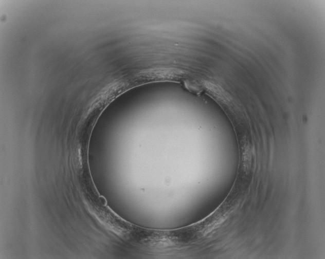 X0000064770254200602171832