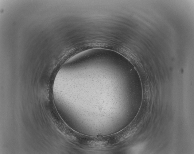 X0000064770255200602171832