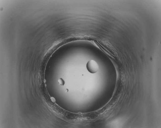 X0000064770256200602171832