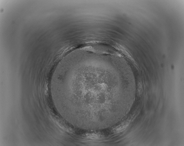 X0000064770259200602171832