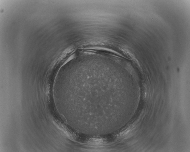 X0000064770260200602171832