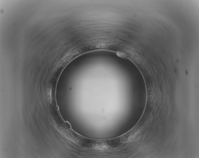 X0000064770262200602171832