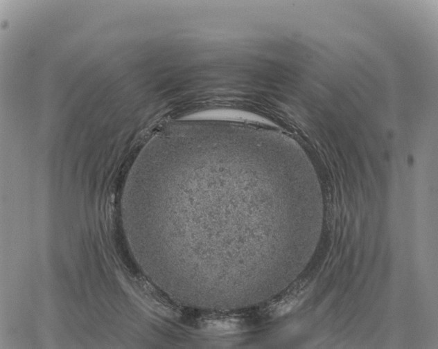 X0000064770263200602171832