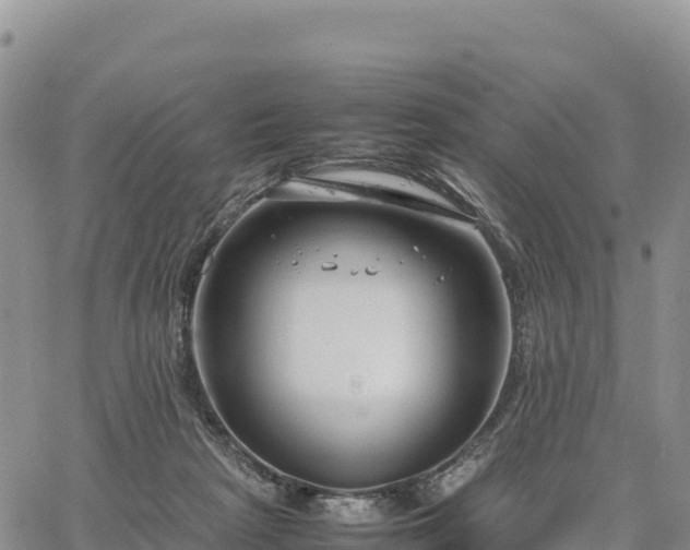 X0000064770265200602171832