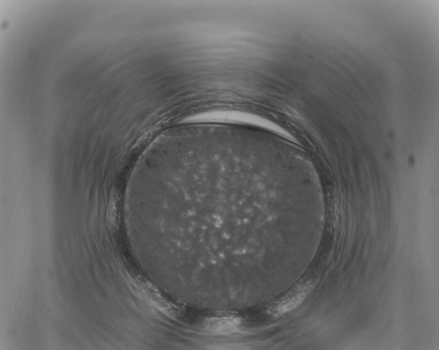 X0000064770266200602171832