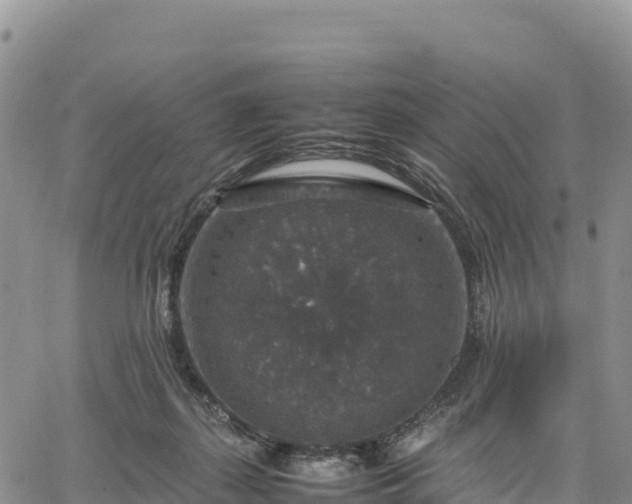 X0000064770267200602171832