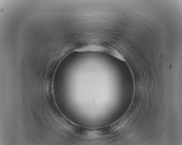 X0000064770268200602171832