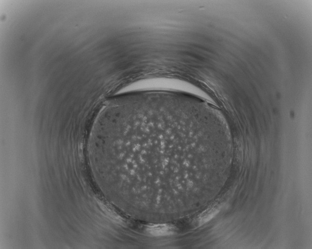 X0000064770269200602171832