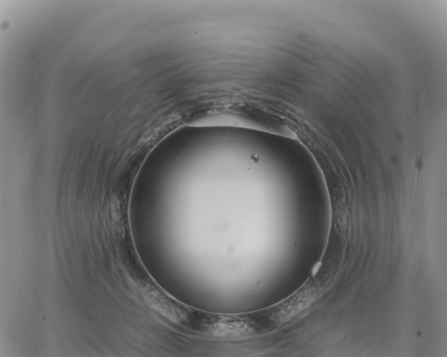 X0000064770270200602171832